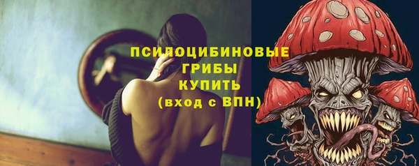 первитин Коряжма