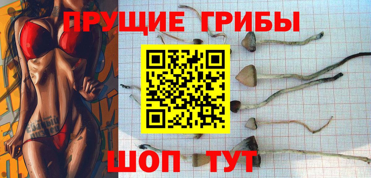 Нефтеюганск  Псилоцибиновые грибы MAGIC MUSHROOMS  Вход с VPN 